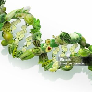 Paquete 2: Programa Personalizado de Nutrición y  Bienestar de Un Mes