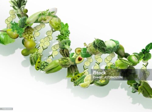 Paquete 2: Programa Personalizado de Nutrición y  Bienestar de Un Mes