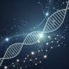 Paquete 3: Programa Integral de 3 Meses- Transformación  Avanzada en Nutrición y Bienestar