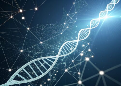 Paquete Inicial- Test Epigenético: Exploración de Bienestar  Personalizado